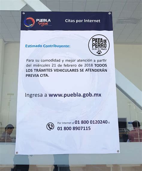 Canje de Tarjeta de Circulación 2018 en Puebla | Pata de Perro
