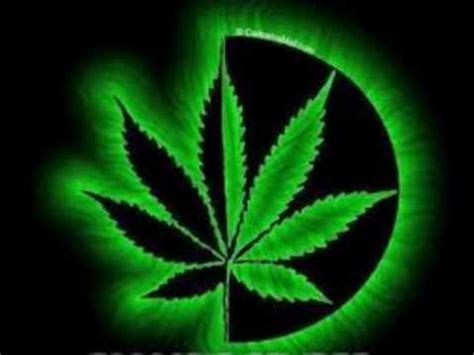 cannabis sativa cartel de santa   YouTube