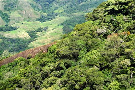 Cantón de La Cruz – Guías Costa Rica