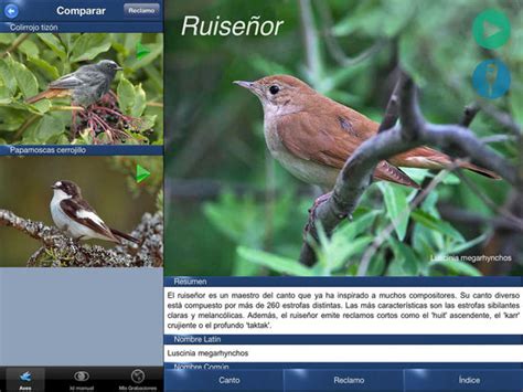Cantos de Aves Id, guía para identificar pájaros on the ...