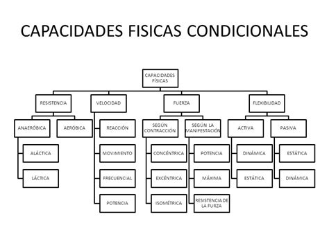CAPACIDADES FISICAS CONDICIONALES   ppt video online descargar