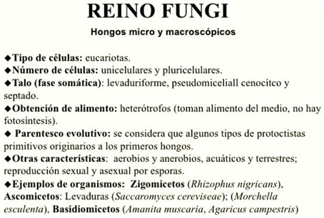 Características del reino fungi   Reino fungi