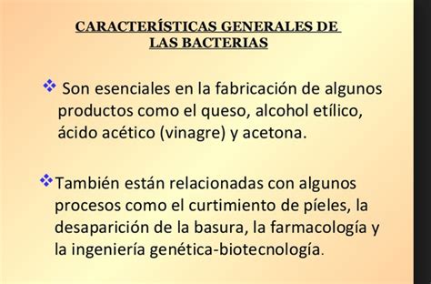caracteristicas principales del los hongos y las bacterias ...