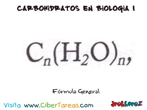 Carbohídratos – Moléculas Orgánicas – Biología 1 | CiberTareas