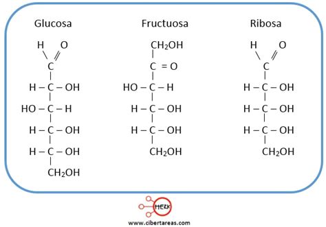 Carbohidratos simples – Química 2 | CiberTareas