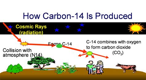 Carbon 14 decaying into Carbon 12.. It’s not exactly ...