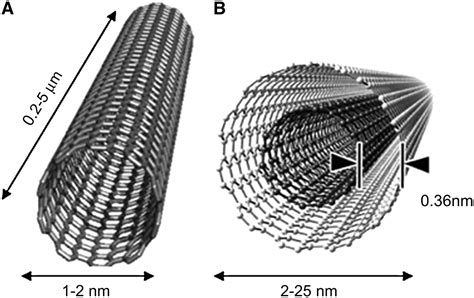 Carbon Nanotubes | Cloud Architecture  Reassembly