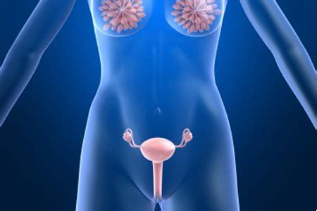 Carcinoma ovarico: Ecco come prevenirlo   wellMe.it