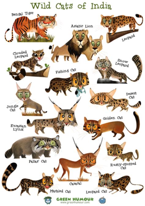 Carnivorous wild animal best blog: Indian wild animals name