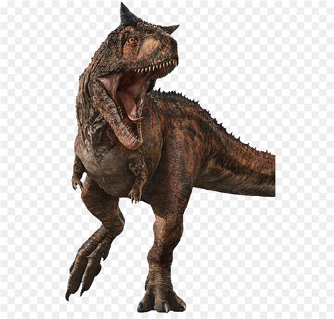 Carnotaurus Jurásico Evolución En El Mundo El Stygimoloch ...