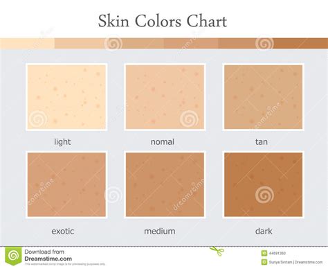 Carta de colores de piel ilustración del vector ...
