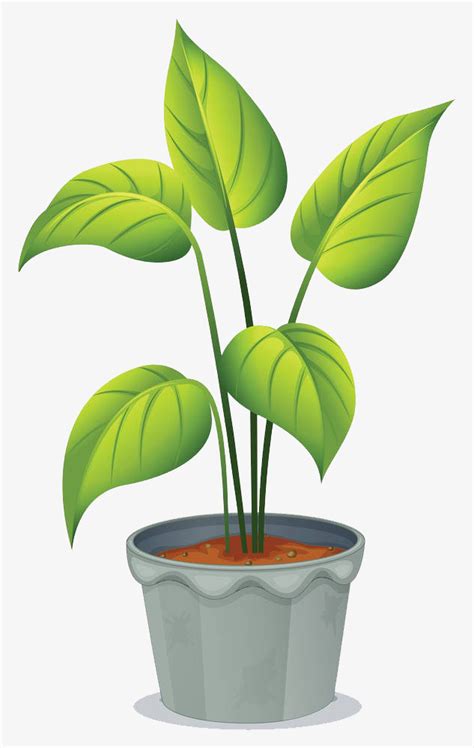 Cartoon Potted Plants, Gardening, Plant, Leaf PNG Image ...