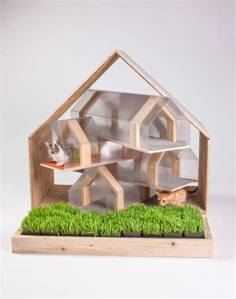 Casas de arquitecto para gatos