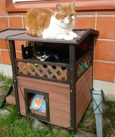 Casetas de exterior para gatos   Blog de Hogarmania