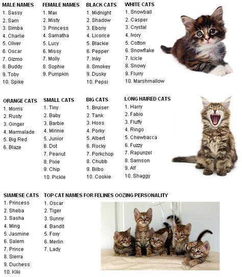cat ailments: cat names
