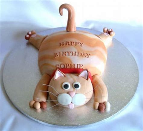 Cat Cakes | Curious, Funny Photos / Pictures