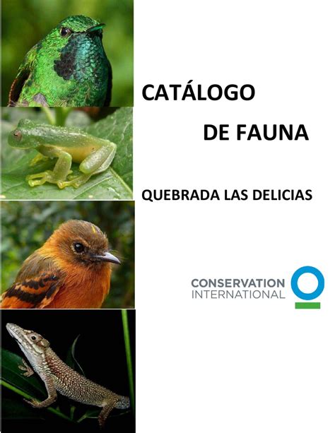 Catálogo de Fauna Quebrada Las Delicias by Andrés Plazas ...