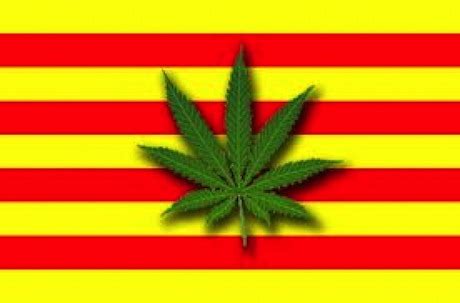 Cataluña Archives   La Marihuana