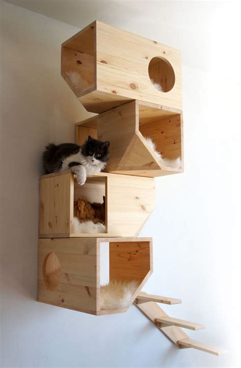 Catissa una casa modular para gatos | Maria victrix