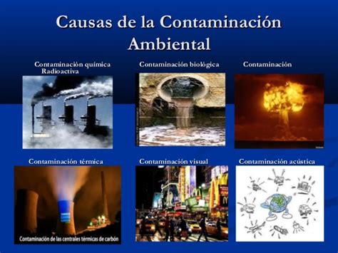 Causas de la Contaminación Ambiental
