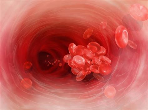 Causas de los coágulos de sangre en la menstruación y cómo ...