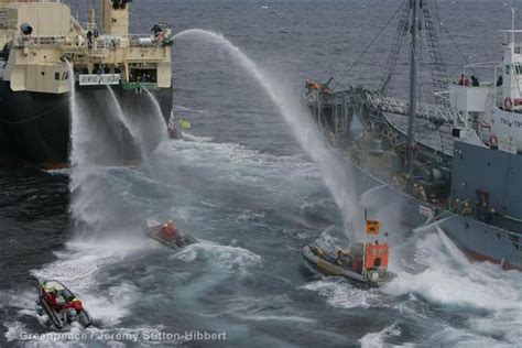 Caza de ballenas en Japón | Greenpeace España
