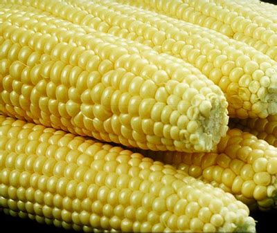 Cbot Corn