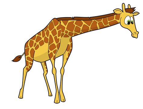 Cebra y jirafa | Ilustración y dibujo