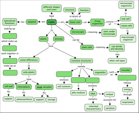 Cell Concept Map Answer Key | My blog