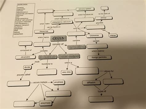 Cell Concept Map Answers | Adriftskateshop