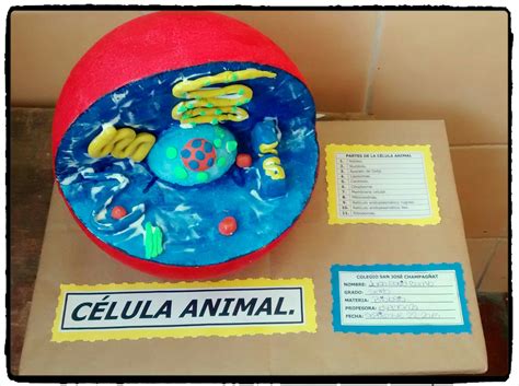 Célula animal manualidad | MIS CREACIONES | Pinterest ...