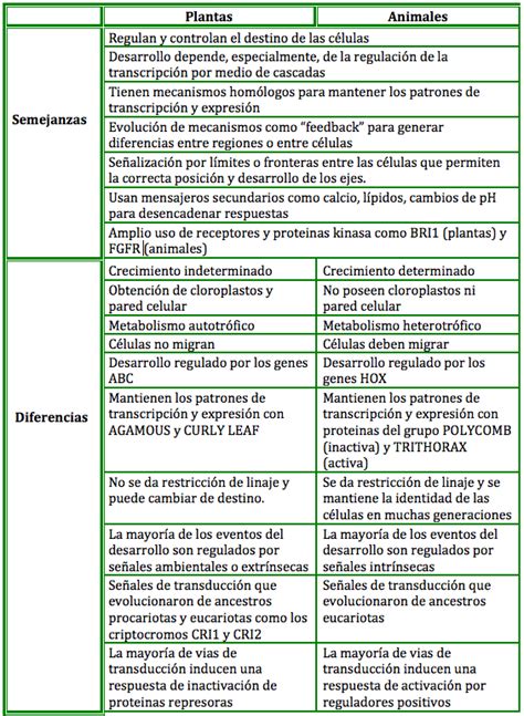 Celula vegetal y animal wikipedia   Imagui