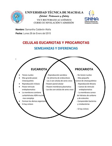 Celulas eucariotas y procariotas materia by Samy Calderón ...
