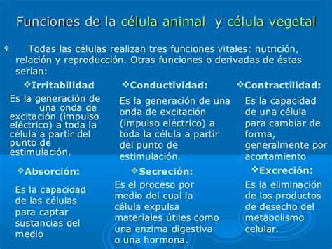 Celulas vegetal y animal