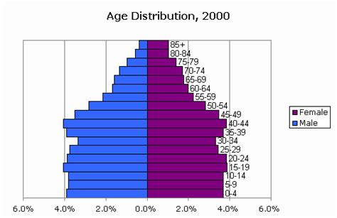 CensusScope    Population Pyramid and Age Distribution ...