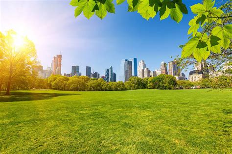 Central Park, The Most Famous Park in New York, United ...