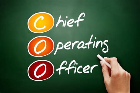 CEO, CFO, COO: entenda o significado e atribuições dos ...