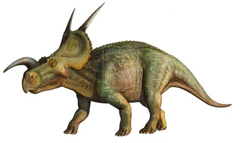 Ceratopsios poco conocidos   Taringa!