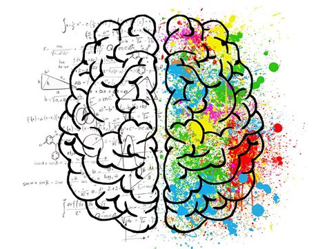 Cérebro Mente Psicologia · Imagens grátis no Pixabay