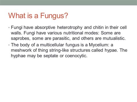 Chapter 30: Fungi Kelsey and Kendra.   ppt video online ...