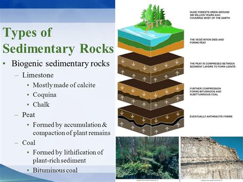 Chapter 8 – FROM SEDIMENT INTO SEDIMENTARY ROCK   ppt ...