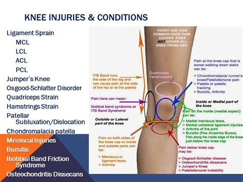 Chapter 9 Knee Injuries.   ppt download
