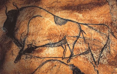 Chauvet Cave Art | annadoherty