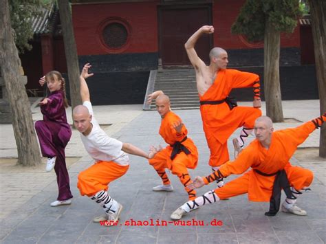 Cheap Shaolin Kung Fu/Tai Chi/Sanda Training Trip to ...