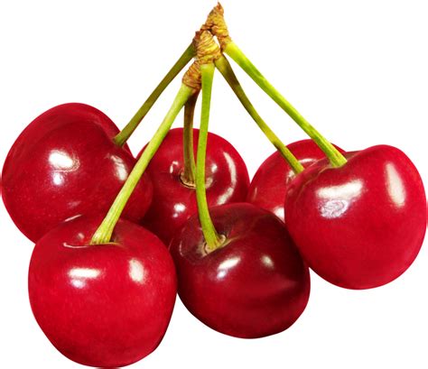 Cherry HD PNG Transparent Cherry HD.PNG Images. | PlusPNG