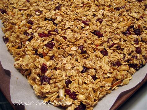 Cherry Oat Cereal with Cashews and Almonds | Mama s ...