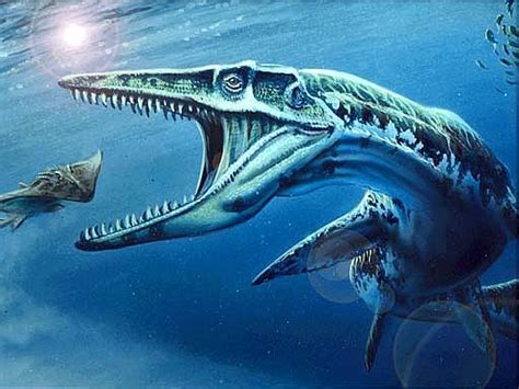 Chile: Descubren dinosaurio marino más grande del mundo ...