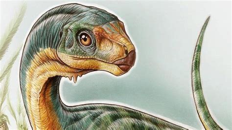 Chilesaurio: el dinosaurio más extraño de los conocidos ...