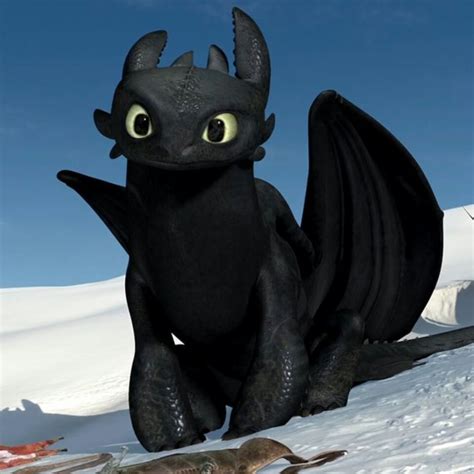 Chimuelo   Como entrenar a tu dragon | DRAGONES ...
