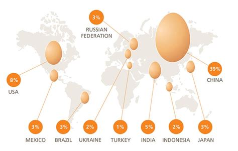 China, ¿el primer productor de huevos del mundo ...